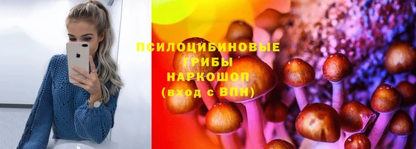 дмт Армянск