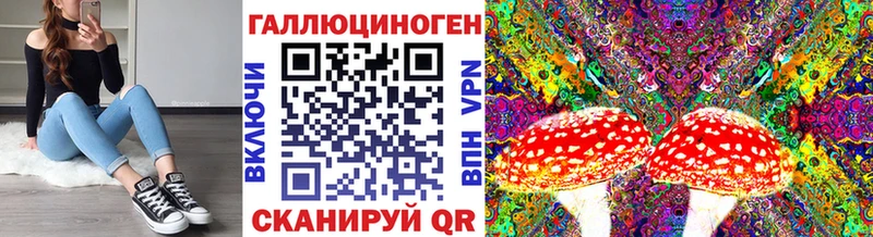 купить закладку  Сковородино  Галлюциногенные грибы прущие грибы 